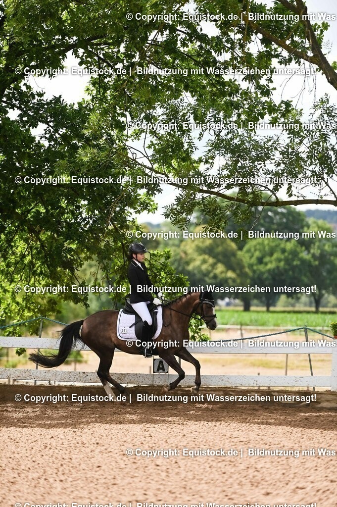 20230716_10-1_Reiter-WB Schritt - Trab - Galopp_0197 | equistock