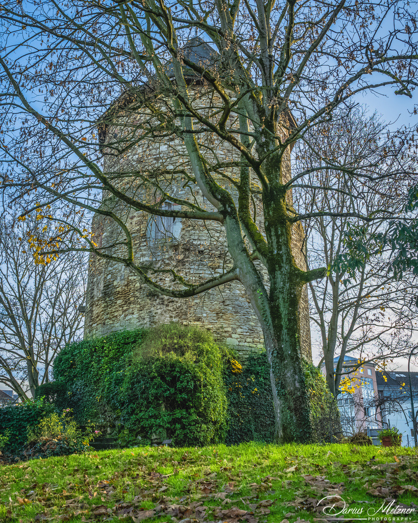 Die Kupferbergterasse in Mainz | Die Kupferbergterasse in Mainz