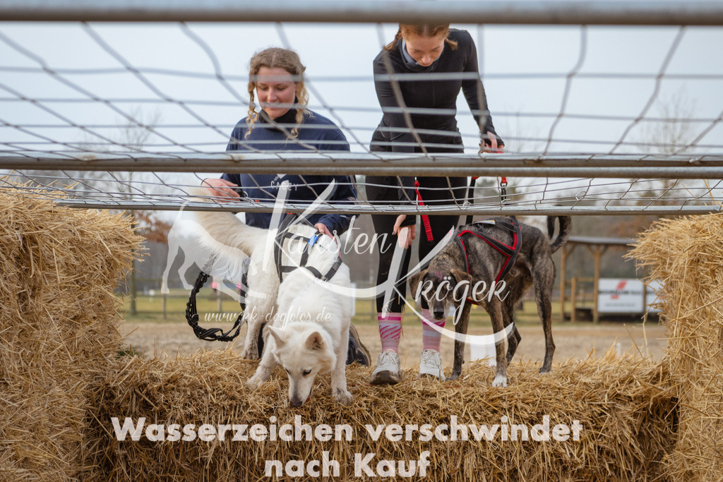 0909_ZZ96857 | kk-dogfotos