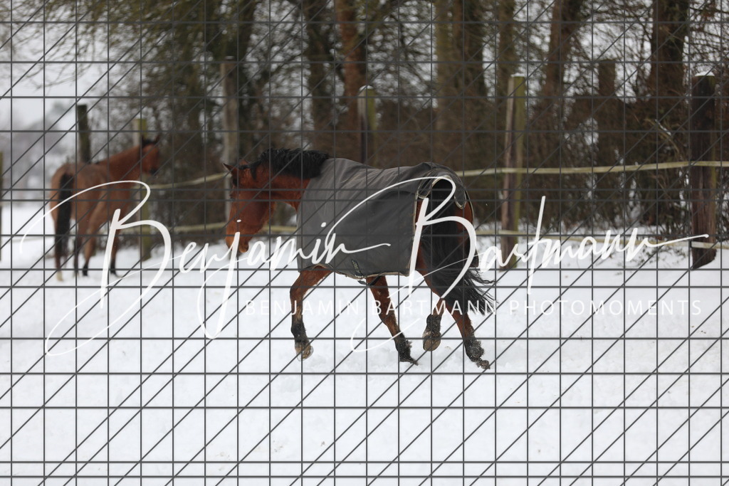 AZ2A3355 | Benjamin Bartmann Photomoments