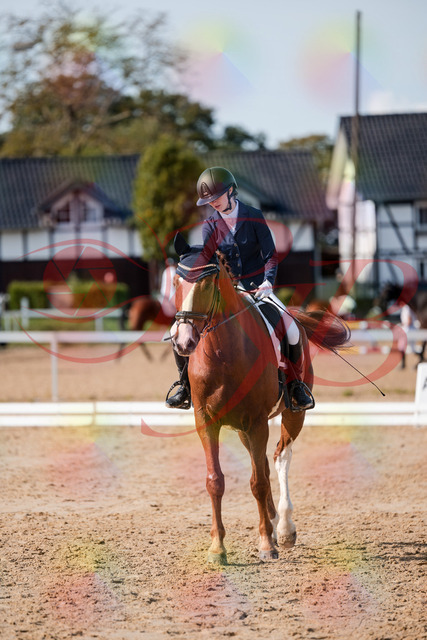 2026_10_03_Siefer-Hof_123806_Z63_55627762 | Professionelle Reitsport-, Turnier- und Eventfotografie von Robert Broda. Galerien mit ausgewählten und bearbeiteten Bildern direkt online ansehen und bestellen.