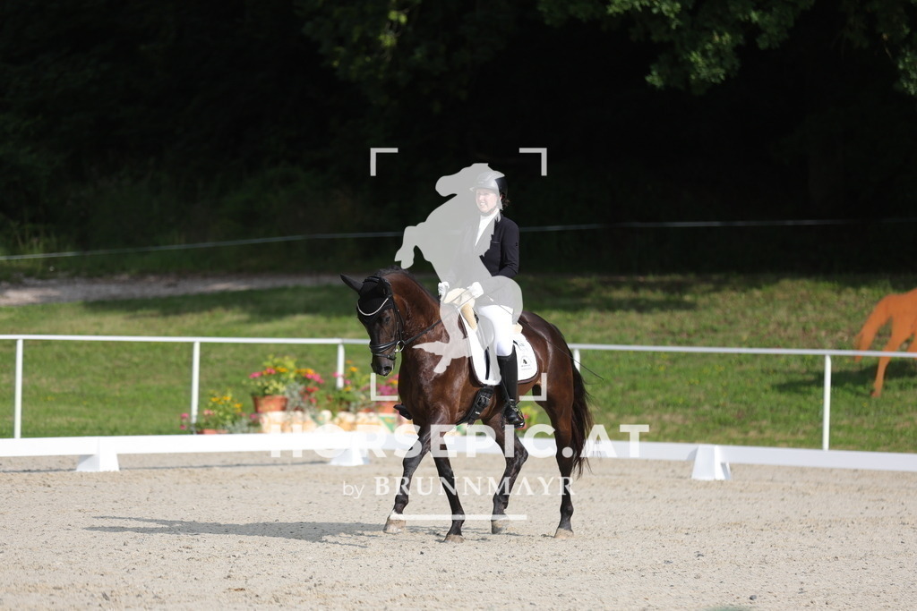 0P6A8570 | Willkommen bei Brunnmayr - Design & Fotografie – Ihrem Spezialisten für Reitturniere und Pferdeveranstaltungen in Oberösterreich, Salzburg und Bayern! Seit über 17 Jahren sind wir leidenschaftlich dabei.