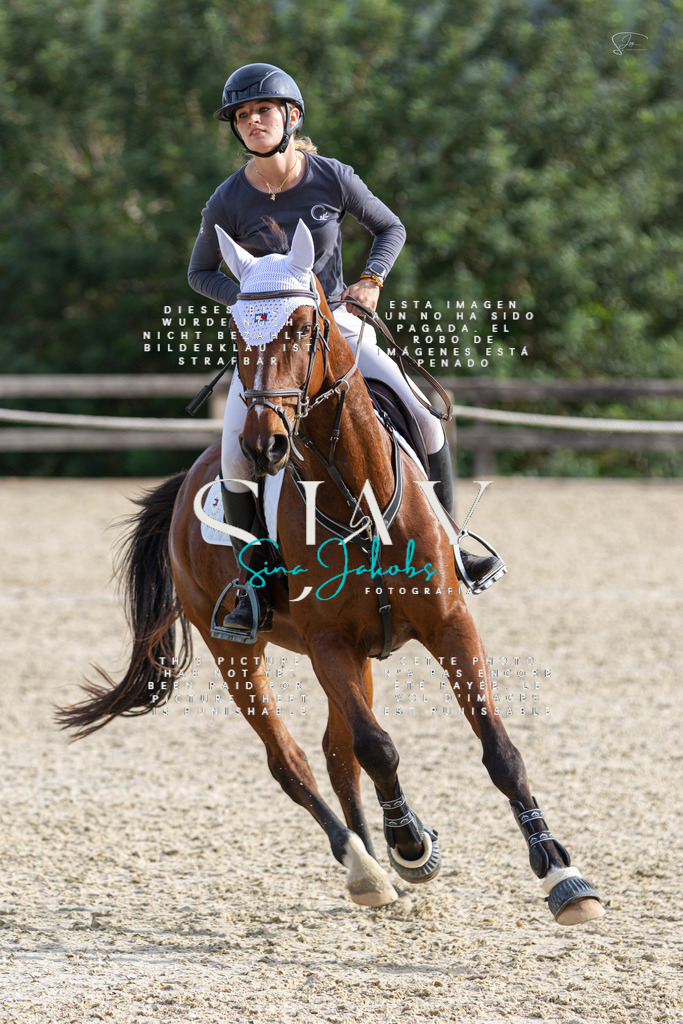 IMG_4217 | s-jay-photography - Realisiert mit Pictrs.com