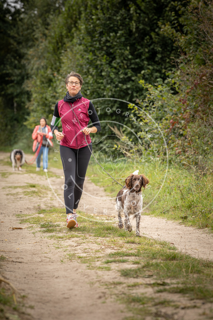 Pfotenfotografie_DV3A8333 | Hundefotografie, Tierfotograf, Pfotenfotografie, Fotoshooting Hund, Hunde Portrait, Hundesport, Hundeportraits, Heideshooting, Hunde, Sportfotograf, Hundefotograf, Turnierhundsport, THS,  - Realisiert mit Pictrs.com