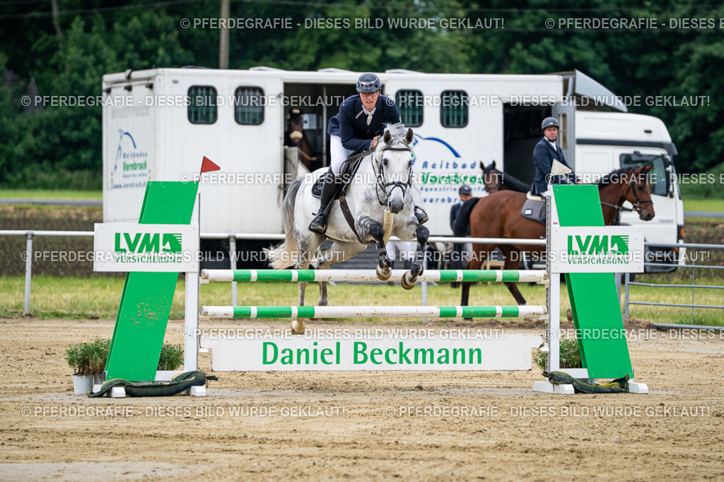 DSC04792 | Pferdegrafie