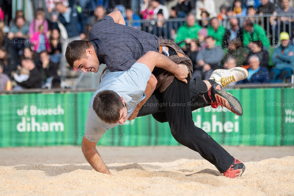 Schwingen -  12. OLMA-Schwinget 2024 | St.Gallen, 20.10.24, Schwingen - 12. OLMA-Schwinget.