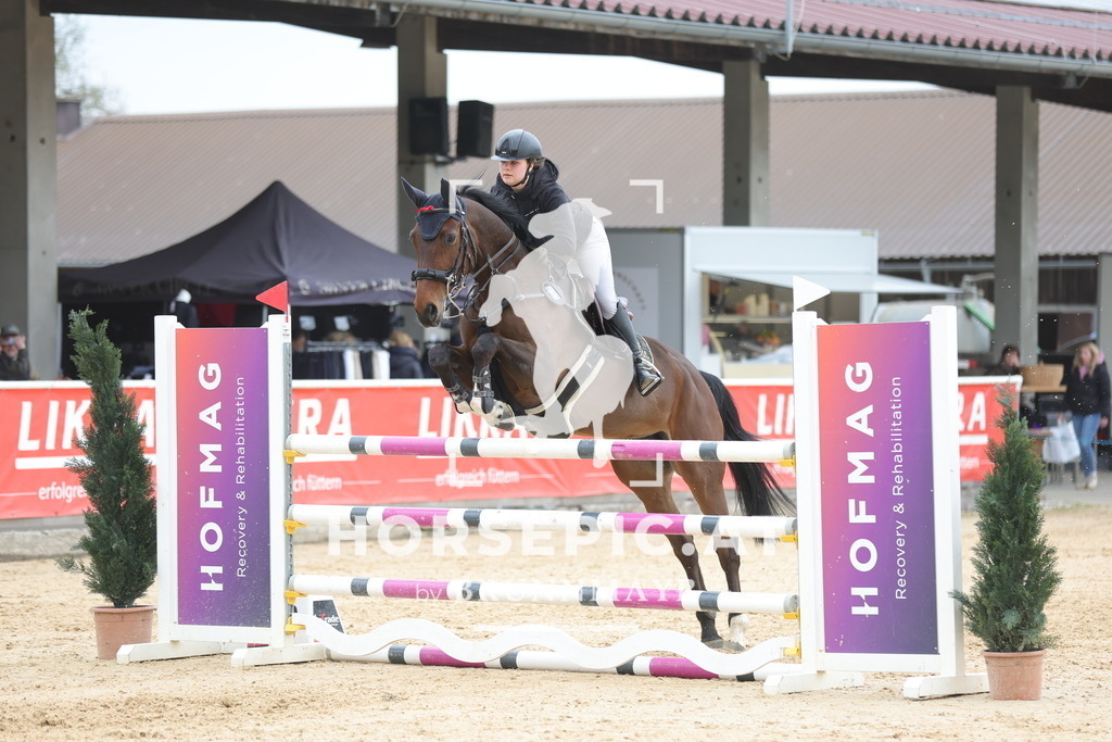 0P6A4754 | Willkommen bei Brunnmayr - Design & Fotografie – Ihrem Spezialisten für Reitturniere und Pferdeveranstaltungen in Oberösterreich, Salzburg und Bayern! Seit über 17 Jahren sind wir leidenschaftlich dabei.