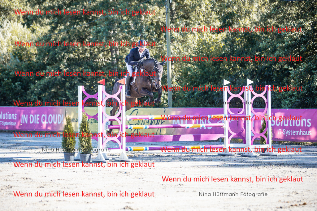 BK1A6017 | Turnierbilder Turnierfotos Nina Hüffmann Turnierfotografie Pferdefotografie Tierzeichnung Haustierzeichnung Pferdezeichnung Hundezeichnung Videograf  - Realisiert mit Pictrs.com