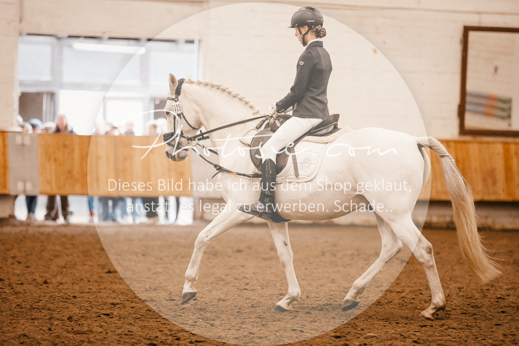 3I6A6529 | Stimmungsvolle Portraits und Reitsportfotografie im Ruhrgebiet und im Münsterland.

Pferdefotografie, Hundefotografie, Tierfotografie, Reportagen, Portraits von Tier und Mensch, Turnierfotografie in Bochum, Recklinghausen, Marl, Haltern am See, Dülmen.. - Realisiert mit Pictrs.com