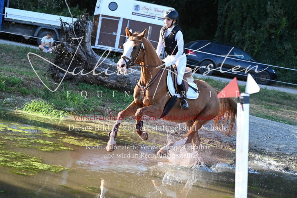 DSC_9139 | Pferde- und Turnierfotografie in Westsachsen. Pferdeportraits, Auftragszeichnungen und intuitive Kunst.