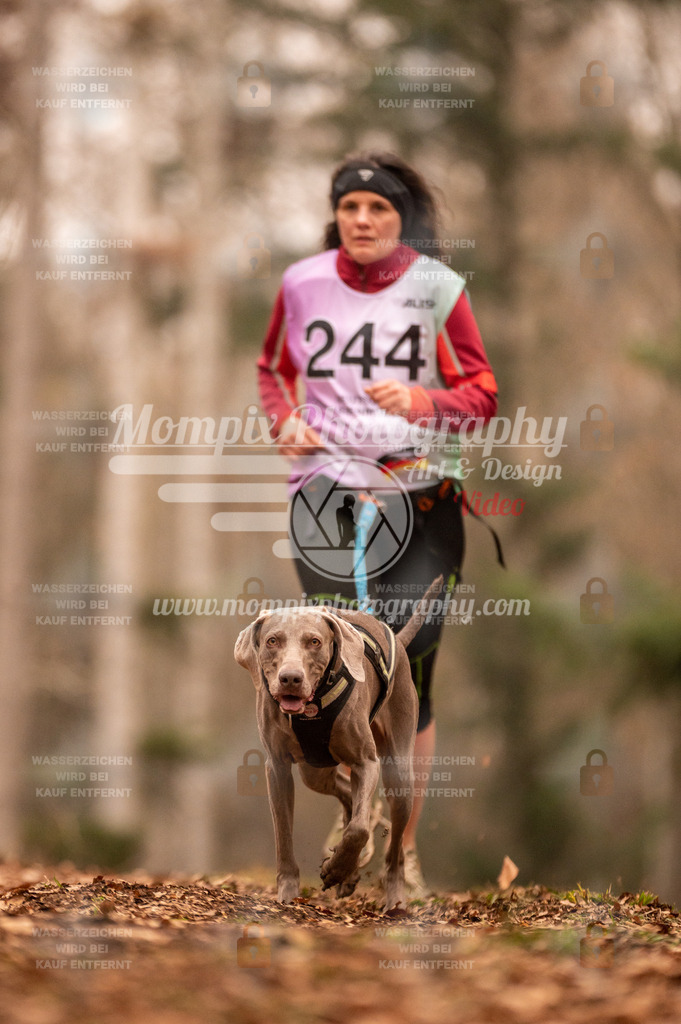 AKM_ST_2023_SAM_Run-143 | PayLife