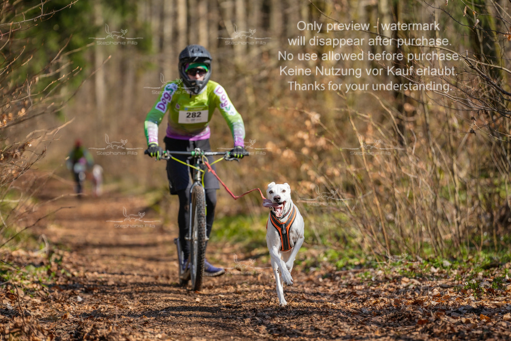 Scooter_kurz_So-18 | stephaniefillaphotographie - Realisiert mit Pictrs.com