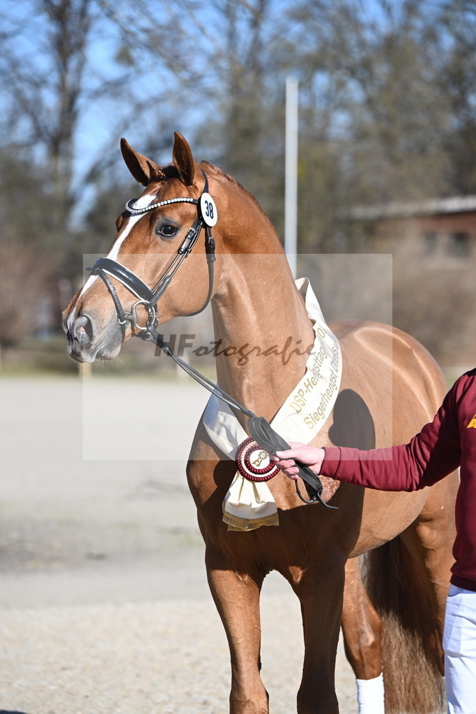 Kat.-Nr. 38 v. De Sandro_Schmid_2243364 | hf-fotografie - Realisiert mit Pictrs.com
