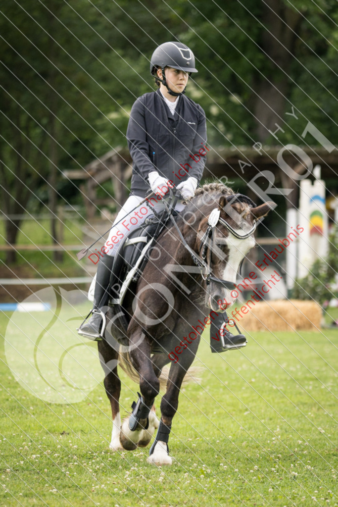 IMG_2478 | Sport-, Event- und Tierfotos in Profiqualität. Einfach auswählen, bestellen und herunterladen. Dein Moment – perfekt festgehalten.
