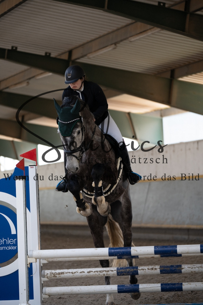 A7V06667 | Pferdefotograf