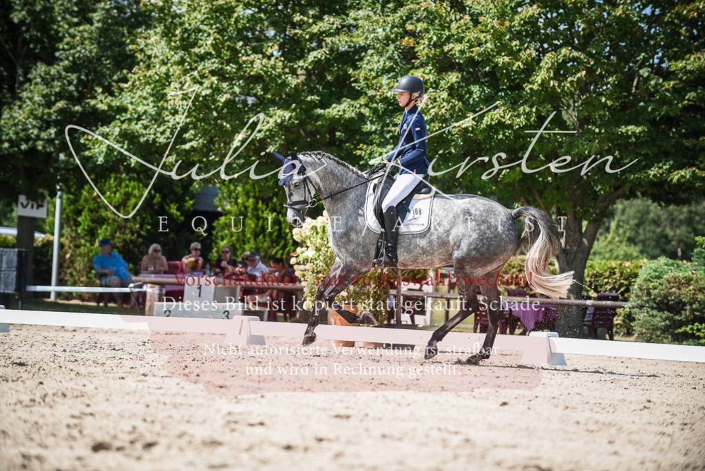DSC_9273 | Pferde- und Turnierfotografie in Westsachsen. Pferdeportraits, Auftragszeichnungen und intuitive Kunst.