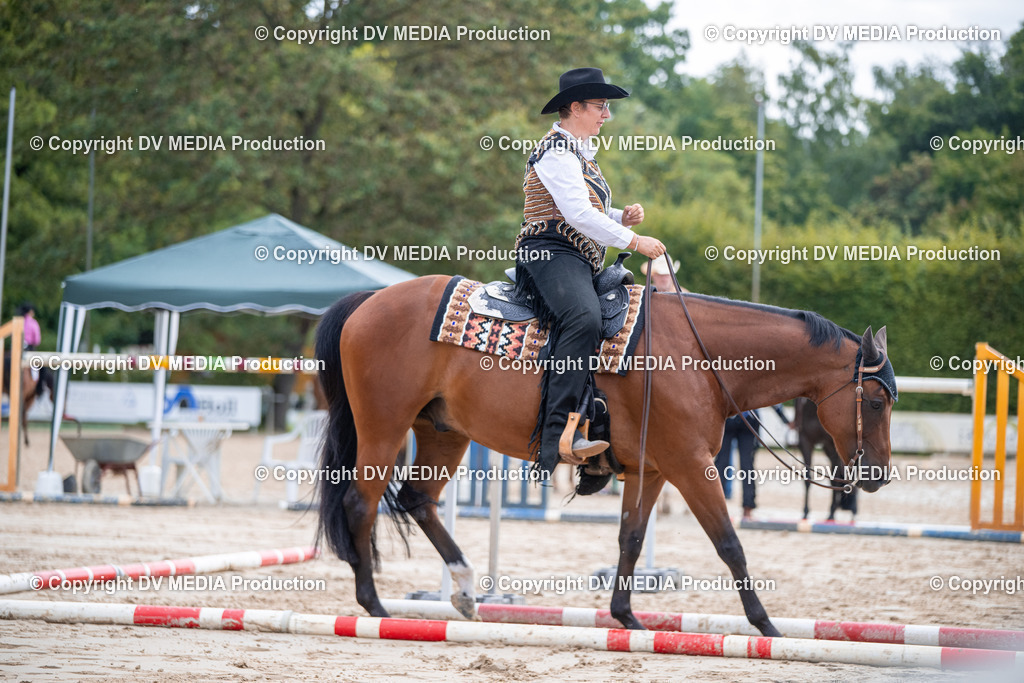 ZS3_4799 | dv-media-shop - Realisiert mit Pictrs.com