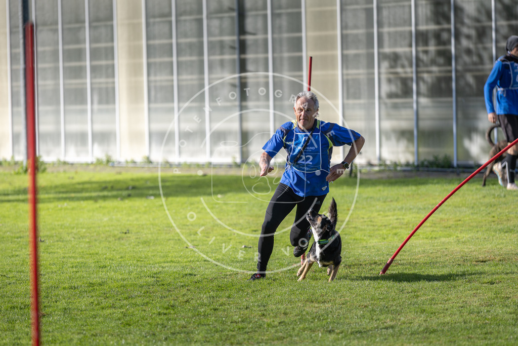 Pfotenfotografie.de_DV3A3338 | Hundefotografie, Tierfotograf, Pfotenfotografie, Fotoshooting Hund, Hunde Portrait, Hundesport, Hundeportraits, Heideshooting, Hunde, Sportfotograf, Hundefotograf, Turnierhundsport, THS, canicross - Realisiert mit Pictrs.com