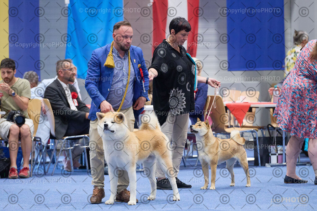 202406_ÖKV-IHA-Tulln24_DSC_3024 | proPHOTO - Realisiert mit Pictrs.com