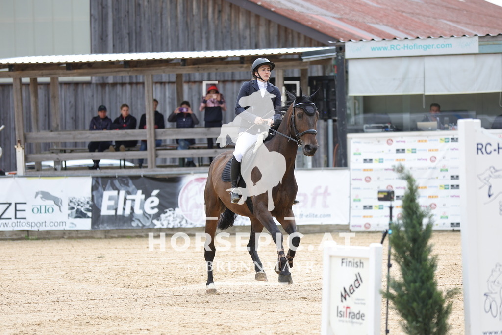 0P6A3249 | Willkommen bei Brunnmayr - Design & Fotografie – Ihrem Spezialisten für Reitturniere und Pferdeveranstaltungen in Oberösterreich, Salzburg und Bayern! Seit über 17 Jahren sind wir leidenschaftlich dabei.