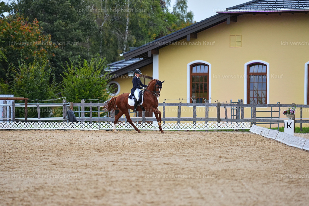 8_1-223-Klasse S_  -Marixx-4303 | working equitationturnier fotograf videograf stoibphotography marixx film working equitation deutschland reitsport turnierfotografie eventfotografie equestrian events