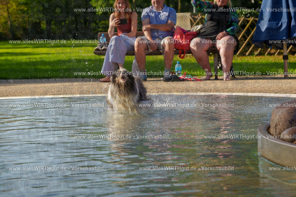 Hundeschwimmen_Grefrath_2026-allesWIRTHgut_Tierfotografie-15_04-FAY01104 | Professionelle Tierfotografie in Mönchengladbach von Daniel Wirth (allesWIRTHgut). Liebevolle & natürliche Bilder von Hunden & Katzen für unvergessliche Erinnerungen.