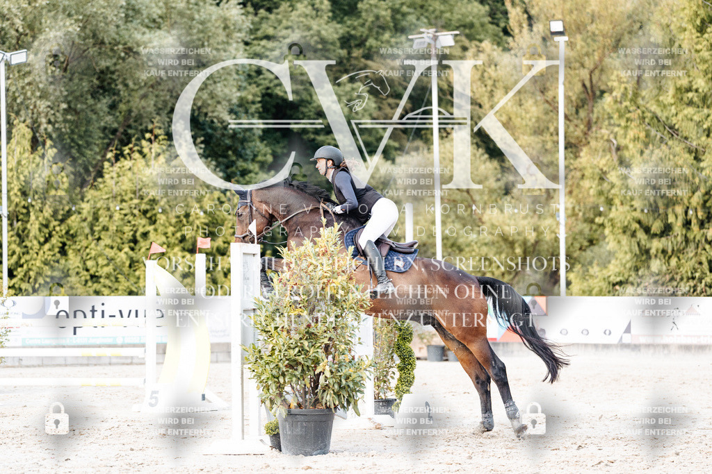 CK903990 | Turnierfotografie Pferdefotografie Trier Rheinland-Pfalz Pferdesport Reitsport Tierfotografie Sportfotografie Pferdevideo Pferdevideografie Equestrianvideography equestrianphotography  - Realisiert mit Pictrs.com