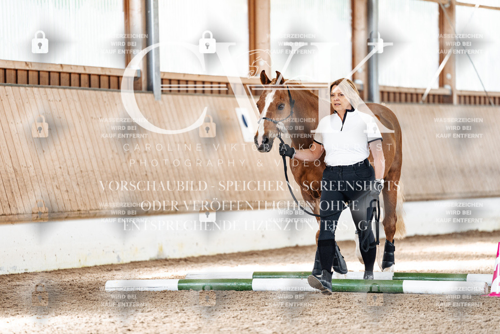 CK905580 | Turnierfotografie Pferdefotografie Trier Rheinland-Pfalz Pferdesport Reitsport Tierfotografie Sportfotografie Pferdevideo Pferdevideografie Equestrianvideography equestrianphotography  - Realisiert mit Pictrs.com