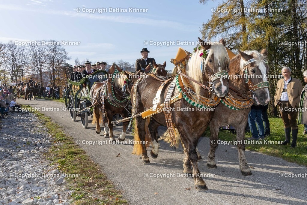 LBT24-1167 | foto-bettina-krinner - Realisiert mit Pictrs.com