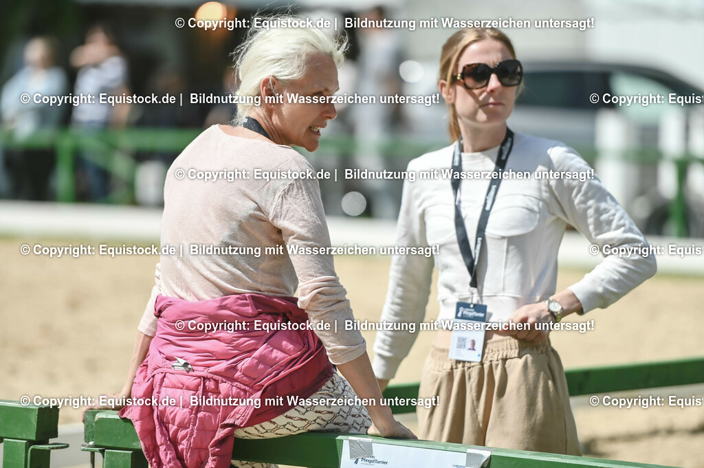 D78_2934 | equistock