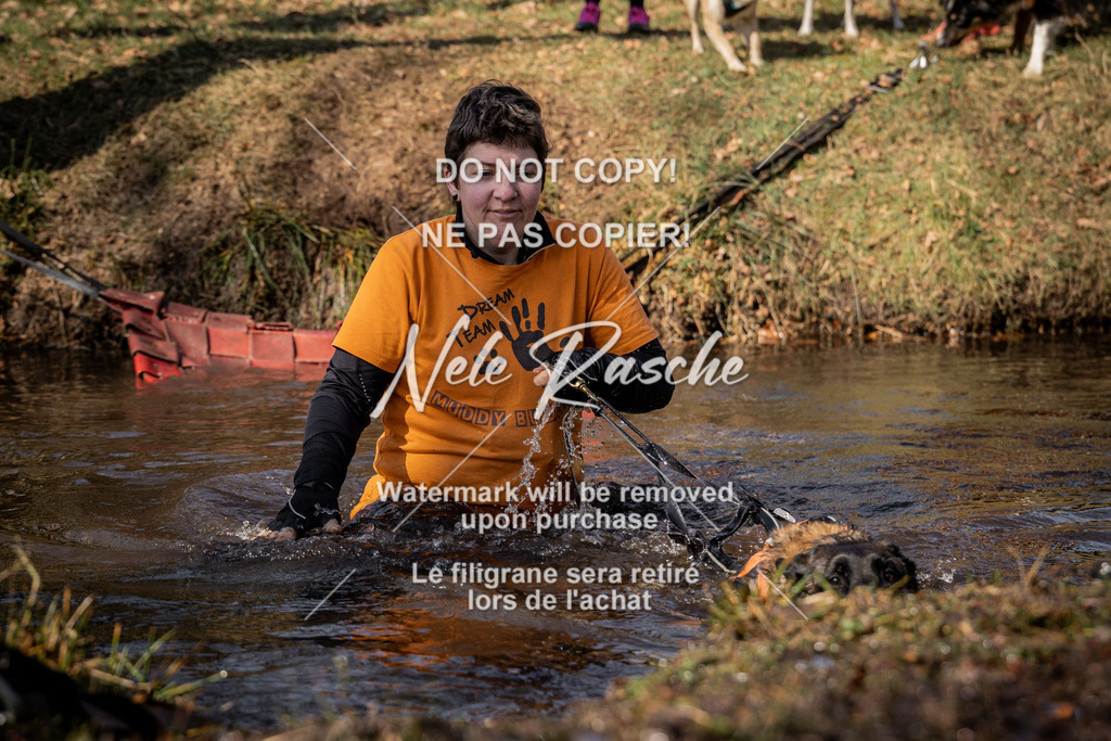 nelerasche_FS1230-1300_394 | nelerasche