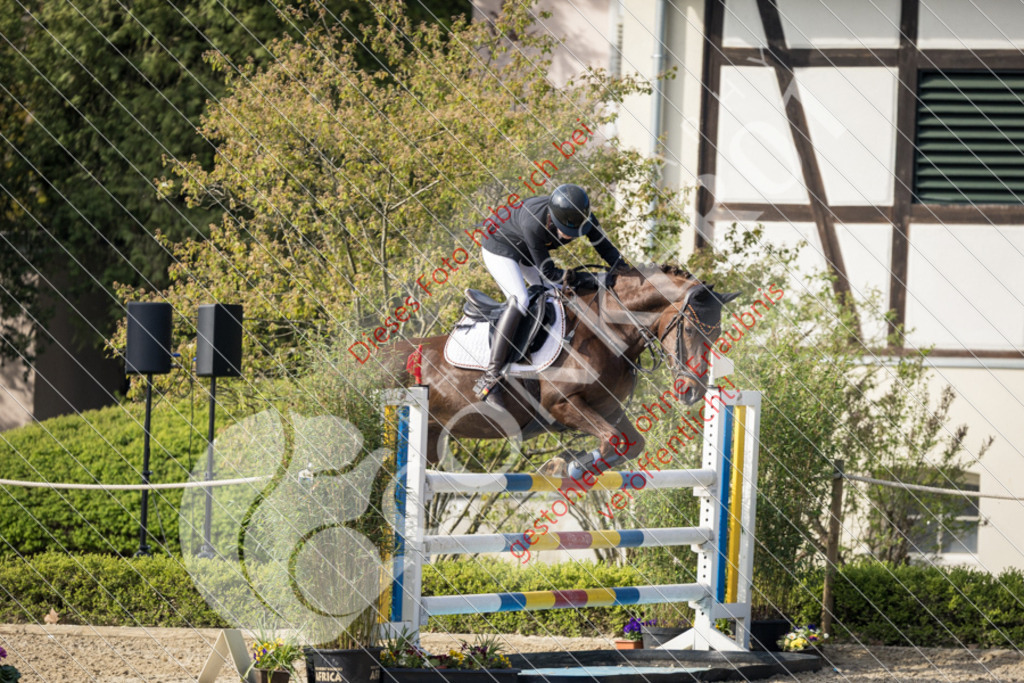 CON_0204 | Sport-, Event- und Tierfotos in Profiqualität. Einfach auswählen, bestellen und herunterladen. Dein Moment – perfekt festgehalten.