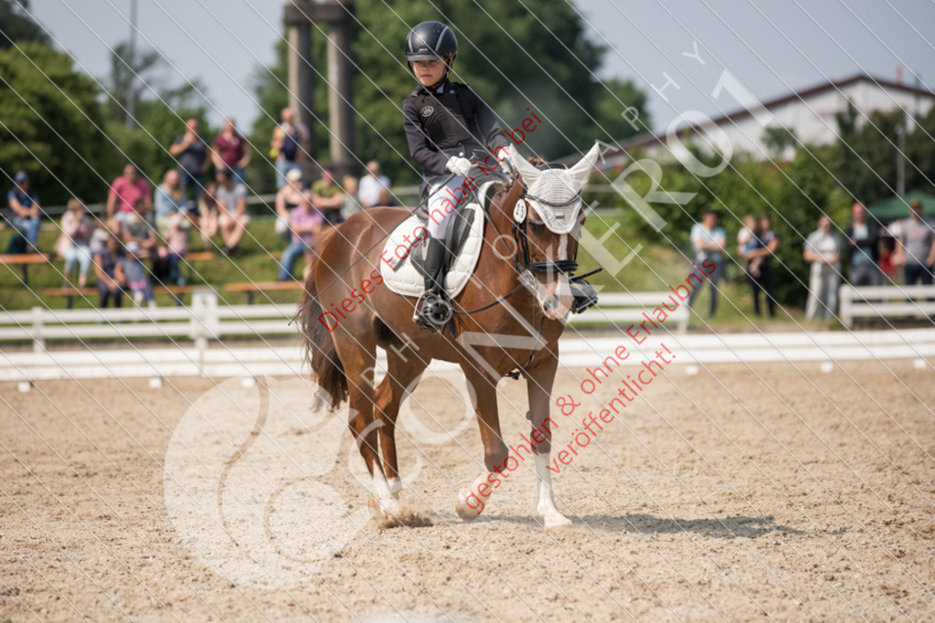 IMG_3355 | Sport-, Event- und Tierfotos in Profiqualität. Einfach auswählen, bestellen und herunterladen. Dein Moment – perfekt festgehalten.