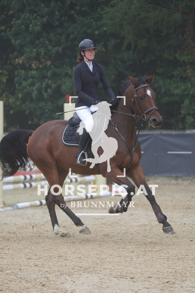0P6A0488 | Willkommen bei Brunnmayr - Design & Fotografie – Ihrem Spezialisten für Reitturniere und Pferdeveranstaltungen in Oberösterreich, Salzburg und Bayern! Seit über 17 Jahren sind wir leidenschaftlich dabei.