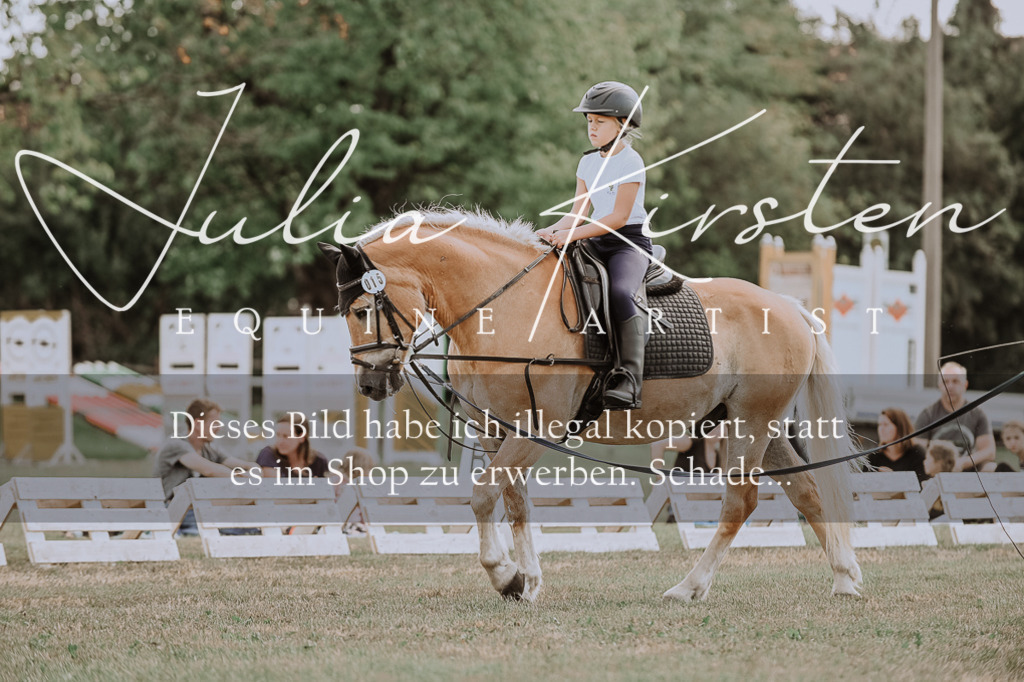DSC_7684 | Pferde- und Turnierfotografie in Westsachsen. Pferdeportraits, Auftragszeichnungen und intuitive Kunst.