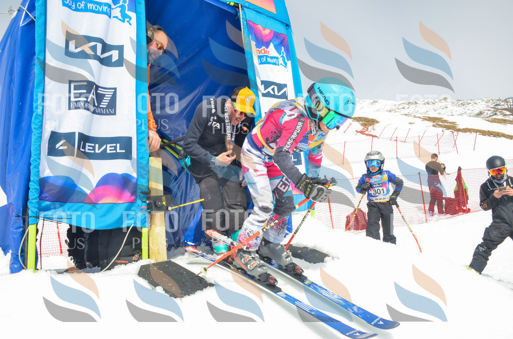 _ELE8089 | holidayphoto