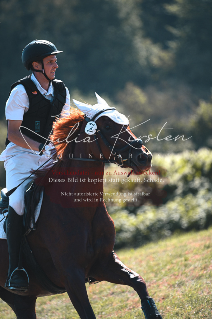 DSC_7985 | Pferde- und Turnierfotografie in Westsachsen. Pferdeportraits, Auftragszeichnungen und intuitive Kunst.