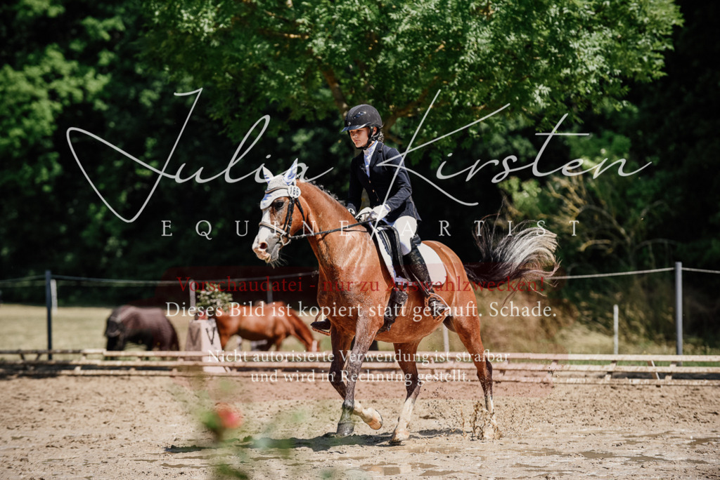 DSC_1956 | Pferde- und Turnierfotografie in Westsachsen. Pferdeportraits, Auftragszeichnungen und intuitive Kunst.