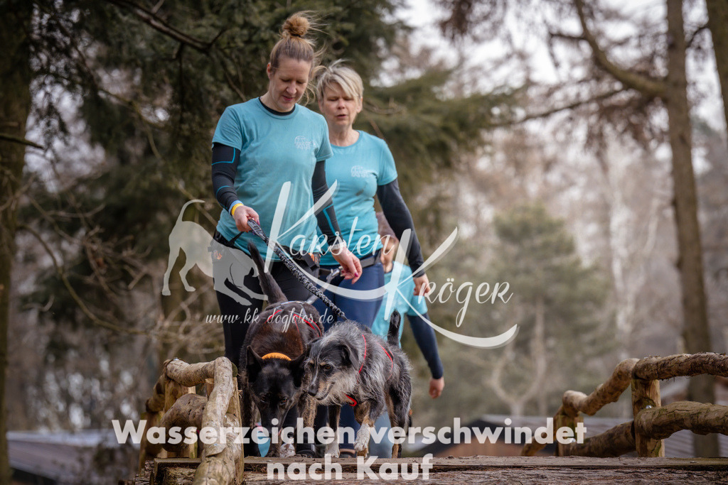 1600_ZZ91971 | kk-dogfotos