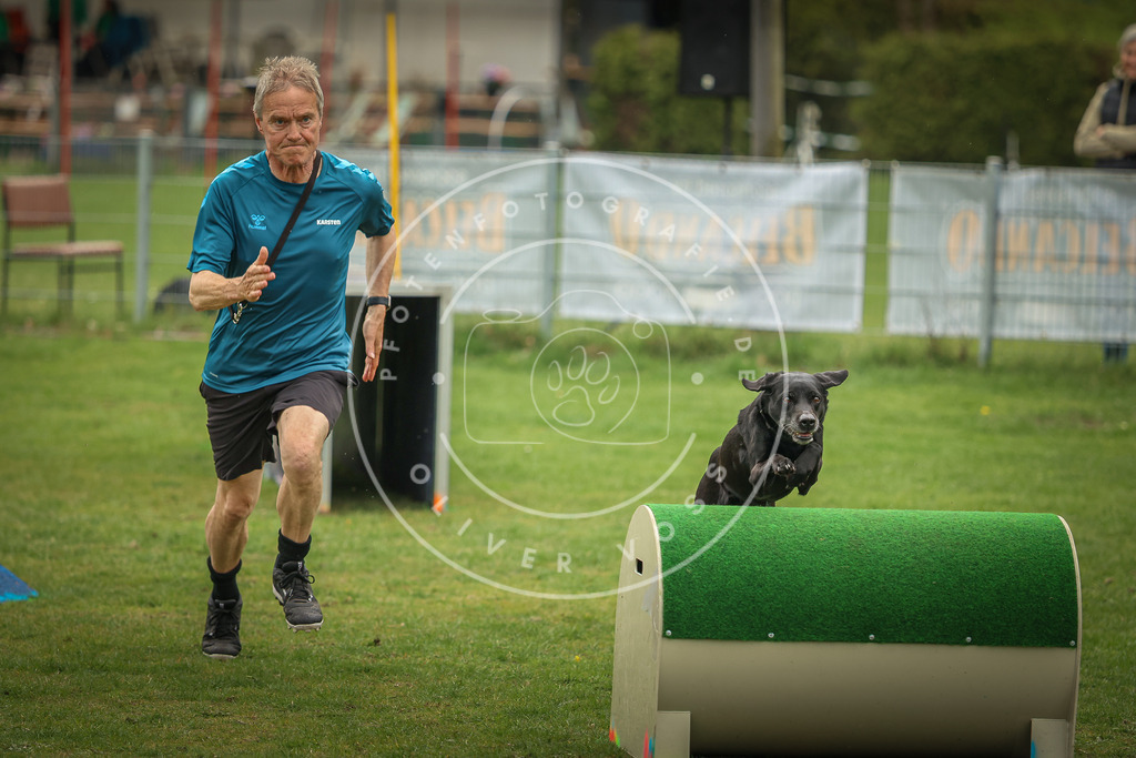 Pfotenfotografie_0L8A1521 | Hundefotografie, Tierfotograf, Pfotenfotografie, Fotoshooting Hund, Hunde Portrait, Hundesport, Hundeportraits, Heideshooting, Hunde, Sportfotograf, Hundefotograf, Turnierhundsport, THS,  - Realisiert mit Pictrs.com