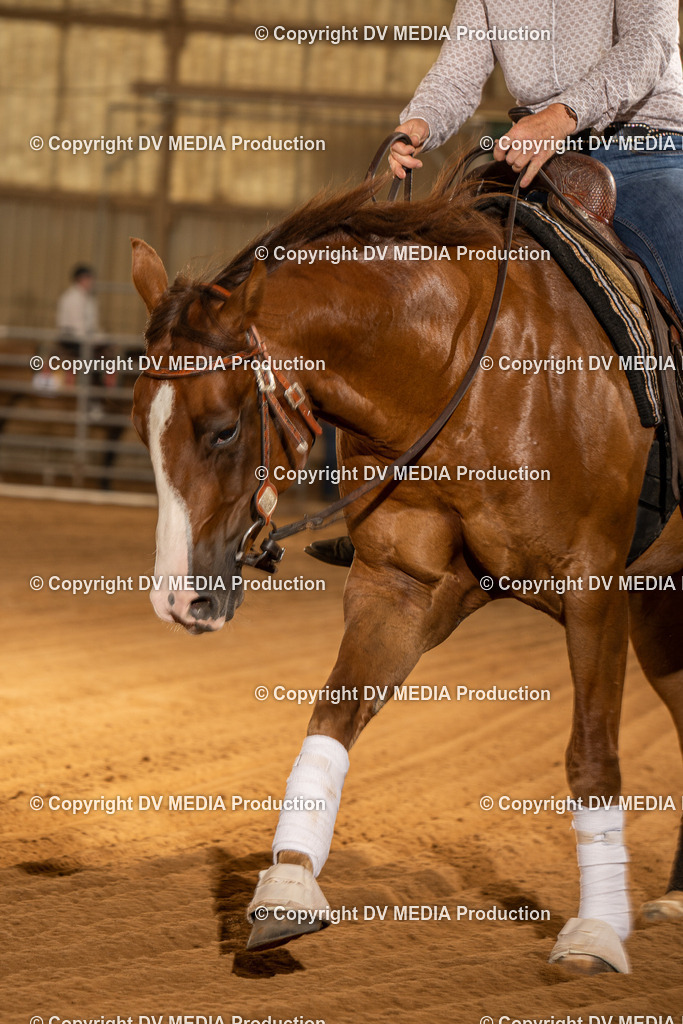 NID02255 | dv-media-shop - Realisiert mit Pictrs.com