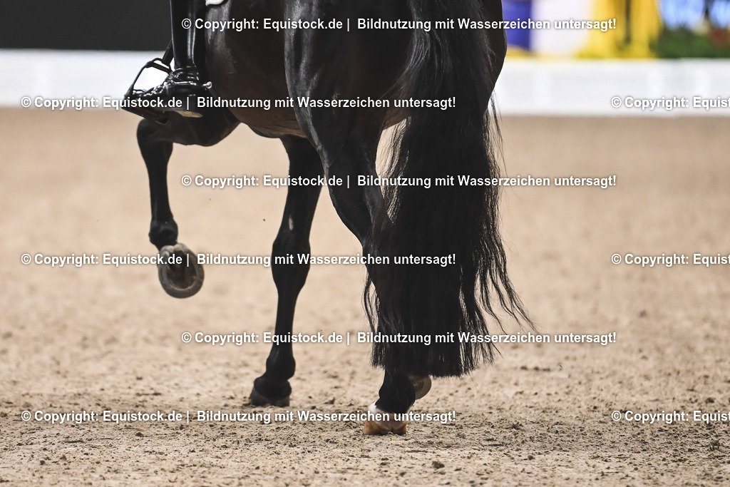 20241116_Dressur-Kür_TOMsPiC_0006 | Foto: Thomas Hartig