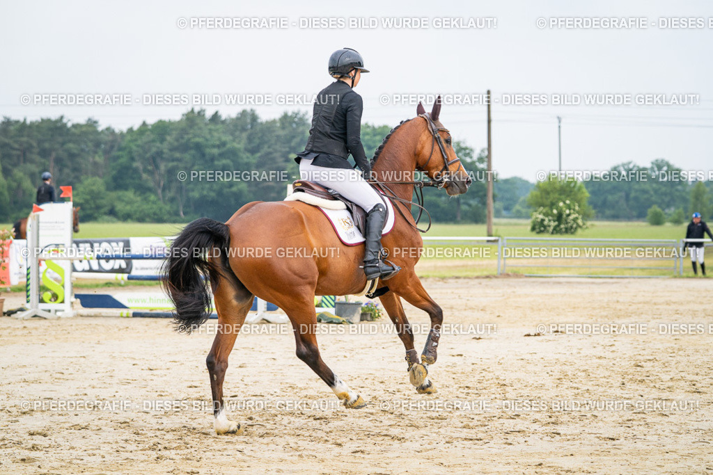 DSC09386 | Pferdegrafie