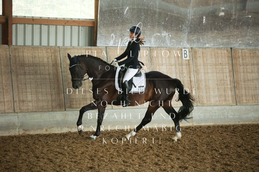 IMGM2942 | pl-fotografie