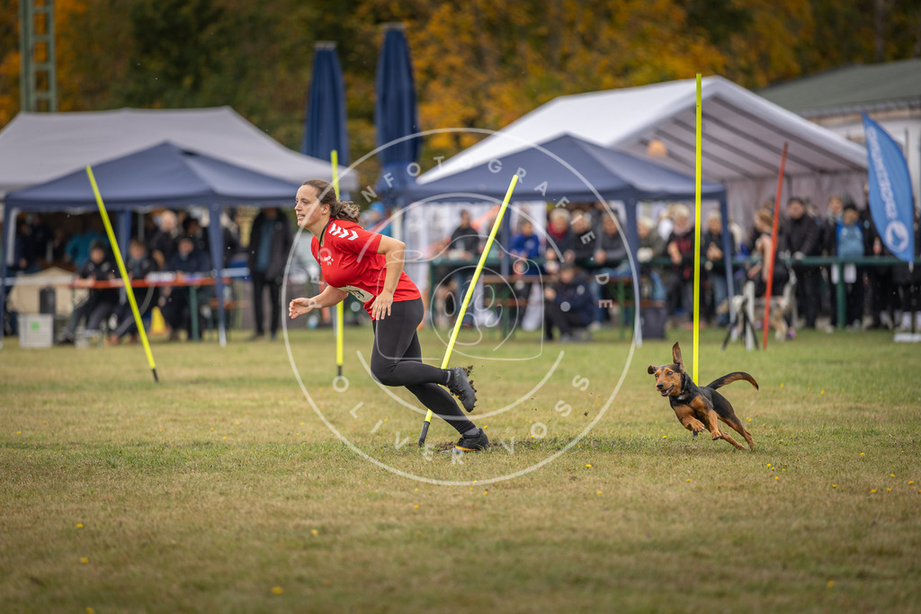 Pfotenfotografie_DV3A7530 | Hundefotografie, Tierfotograf, Pfotenfotografie, Fotoshooting Hund, Hunde Portrait, Hundesport, Hundeportraits, Heideshooting, Hunde, Sportfotograf, Hundefotograf, Turnierhundsport, THS,  - Realisiert mit Pictrs.com