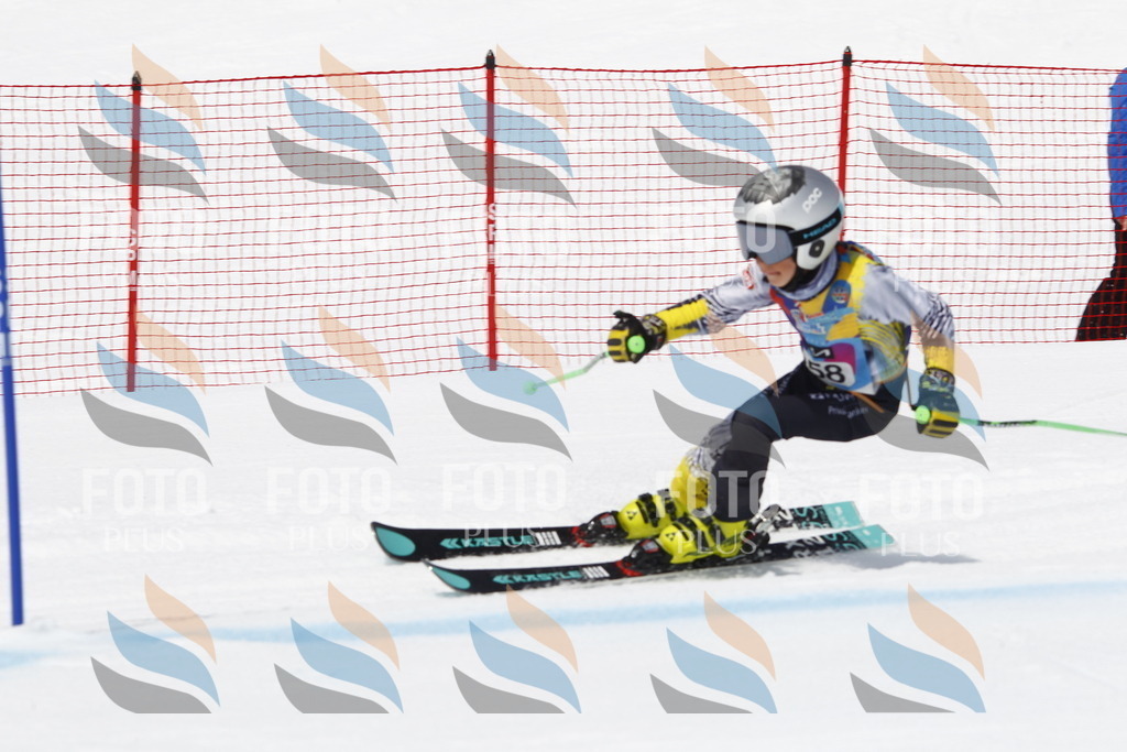 _U3G6497 | holidayphoto