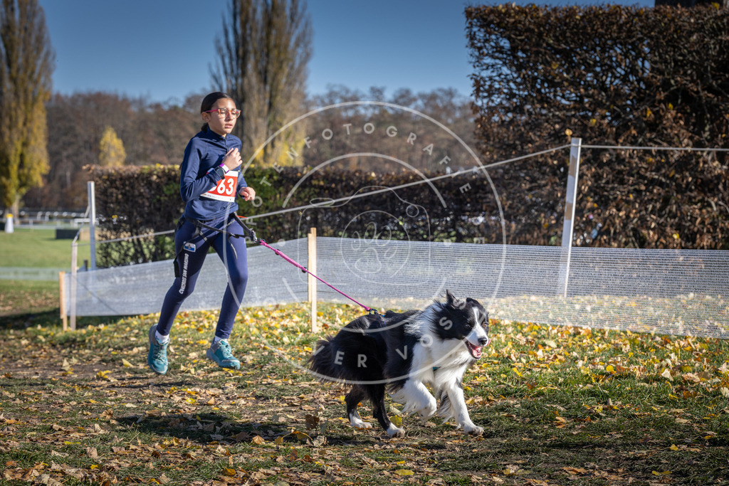 CaniXpix_DV3A8741 | Hundefotografie, Tierfotograf, Pfotenfotografie, Fotoshooting Hund, Hunde Portrait, Hundesport, Hundeportraits, Heideshooting, Hunde, Sportfotograf, Hundefotograf, Turnierhundsport, THS,  - Realisiert mit Pictrs.com