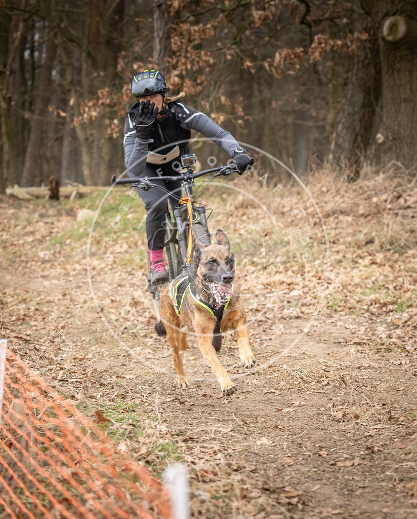Pfotenfotografie_DV3A1805 | Hundefotografie, Tierfotograf, Pfotenfotografie, Fotoshooting Hund, Hunde Portrait, Hundesport, Hundeportraits, Heideshooting, Hunde, Sportfotograf, Hundefotograf, Turnierhundsport, THS,  - Realisiert mit Pictrs.com