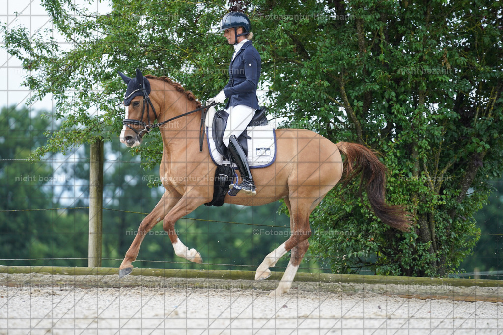 20230826-FAH04355 | Forstinning, 2023, Dressurturnier, Turniersportbilder, Turnierfotografen Bayern, Fotoagentur Herrmann, Reitsportfotografie, Turnierbilder