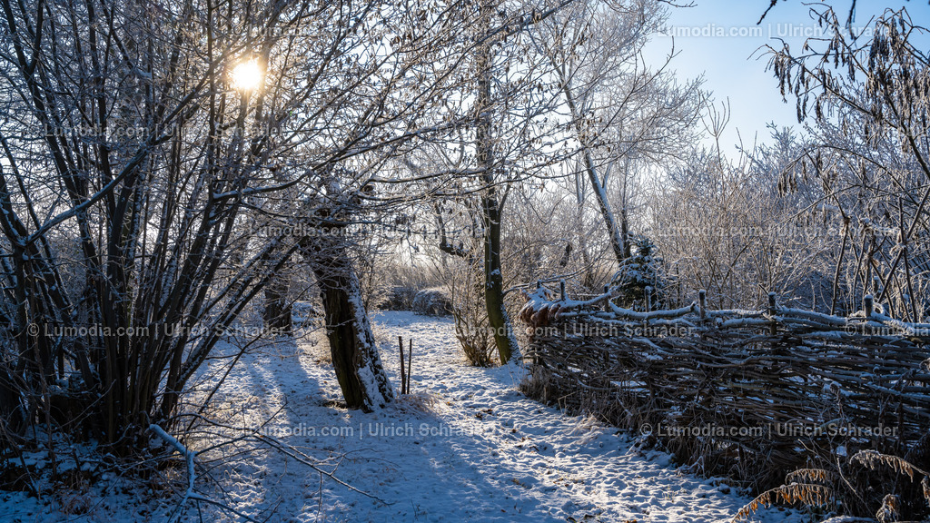 10049-12747 - Winter in der Streuobstwiese | Stockfoto und Bilderpool mit Bildmaterial aus Deutschland, dem Harz, Halberstadt, Quedlinburg, Wernigerode und weltweit. Qualitativ hochwertige und professionelle Fotos anschauen und kaufen. - Realisiert mit Pictrs.com